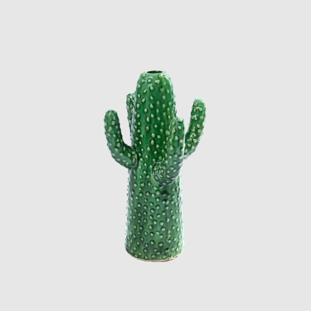 kaktus-keramik-gruen-grauer-hintergrund-vase