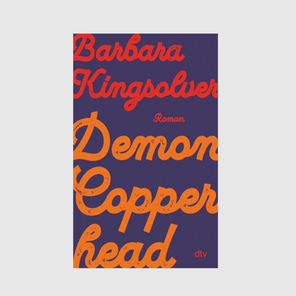 buch-cover-barbara-kingsolver-demon-copperhead-blau-orange-rot