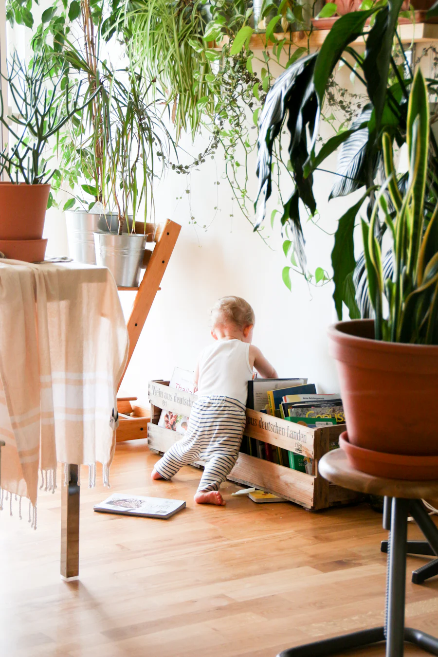 baby-bücher-zimmerpflanzen-tisch-stuhl