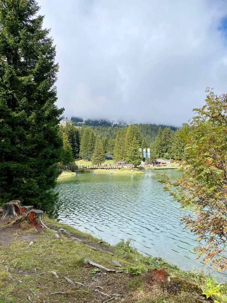 See-gruen-heidsee-tanne