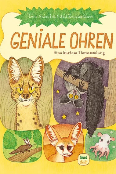 geniale-ohren-kinderbuch-tier-illustraitonen