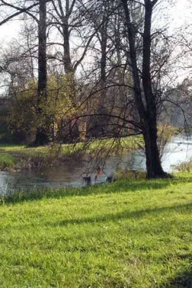 fluss-bäume-wiese