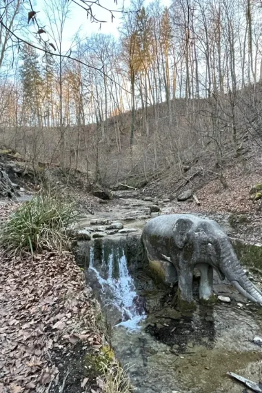 stein-elefant-tobel-weg-wald