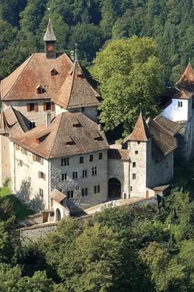 kyburg-burg-wald