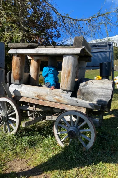 holz-fahrzeug-kind-spielen-wiese-baum